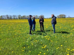 Vier mannen staan met jassen aan in de weide bezaaid met gele bloemen