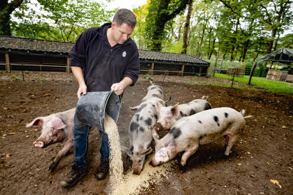 Boer Geert voert de varkens met zijn Herenboeren-hoodie aan